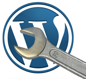 Resolve Your WORDPRESS Issue/Question