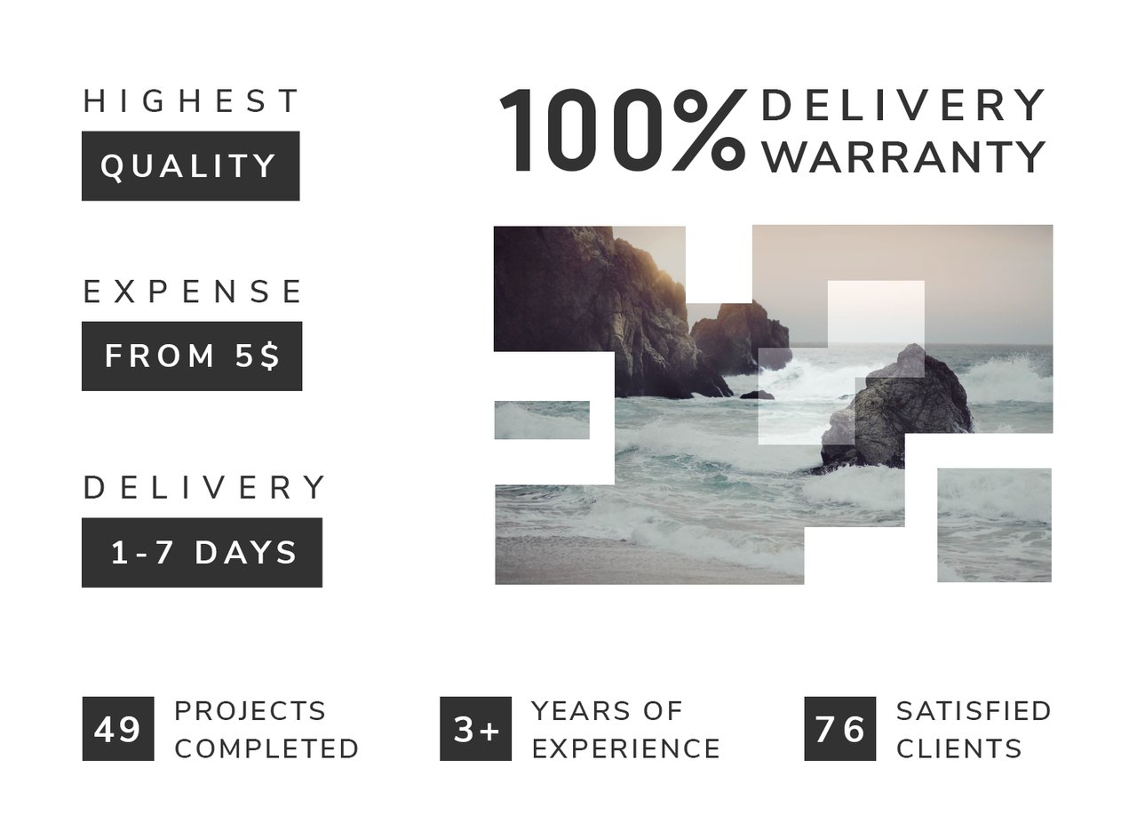 Proffesional SEO Audit just