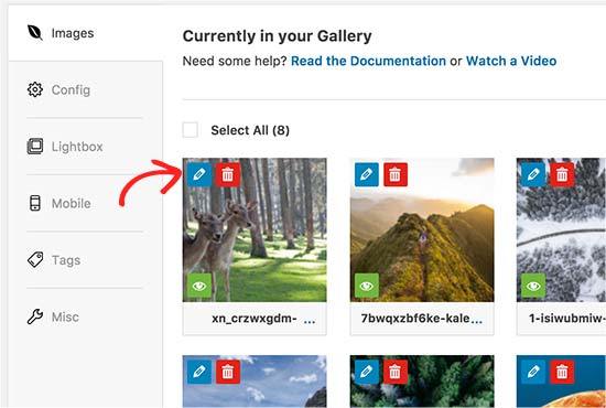 Wordpress,Wordpress theme customization,Blog website