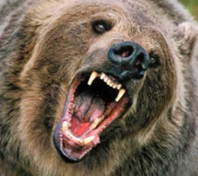 This Package Will Shoot Your Site to First Page