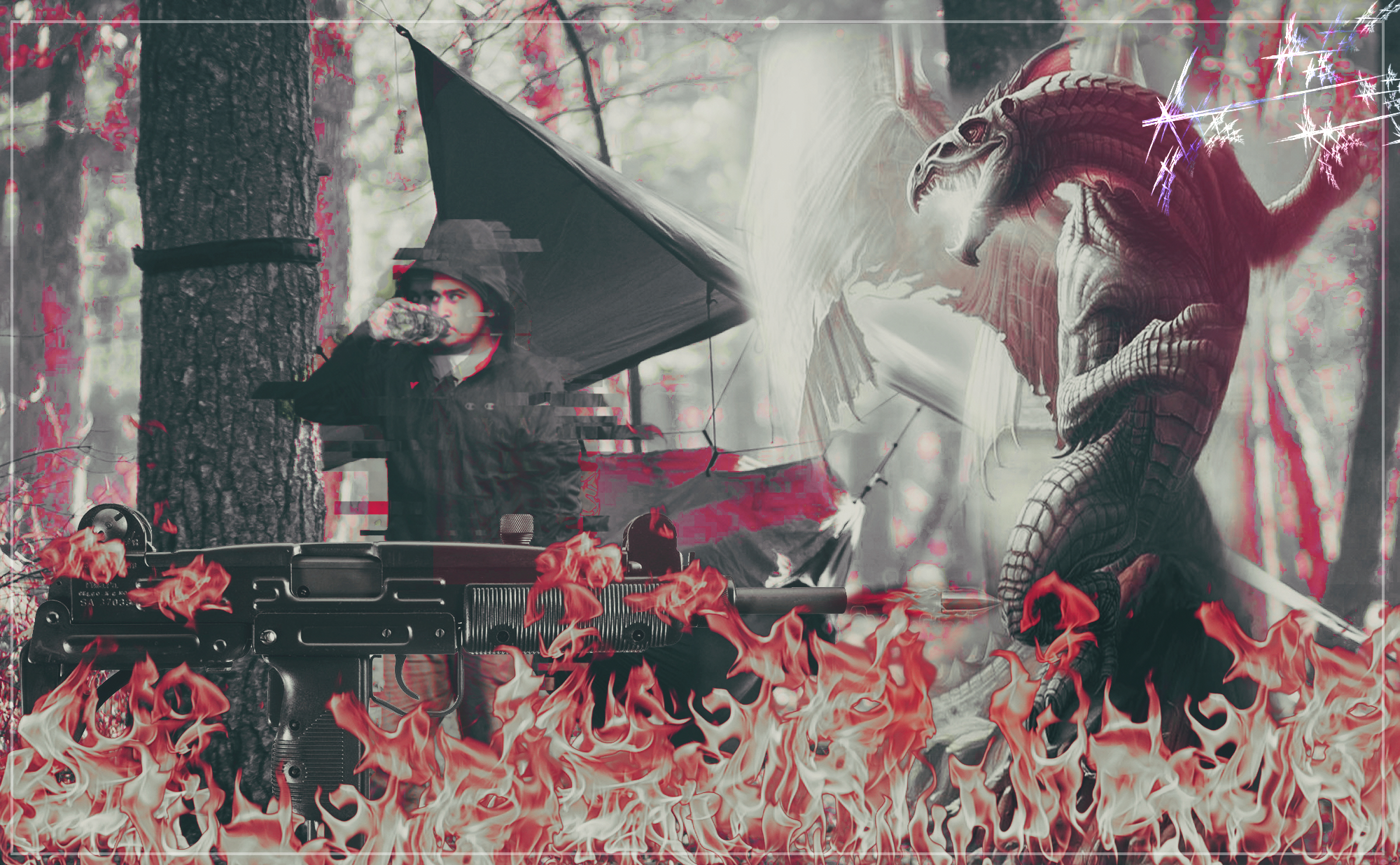 Design / edit professional  flyers,  ad , portrait , landscape , pictures CHEAP !