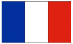 Copywriting + Guest Post 300 words on French Website