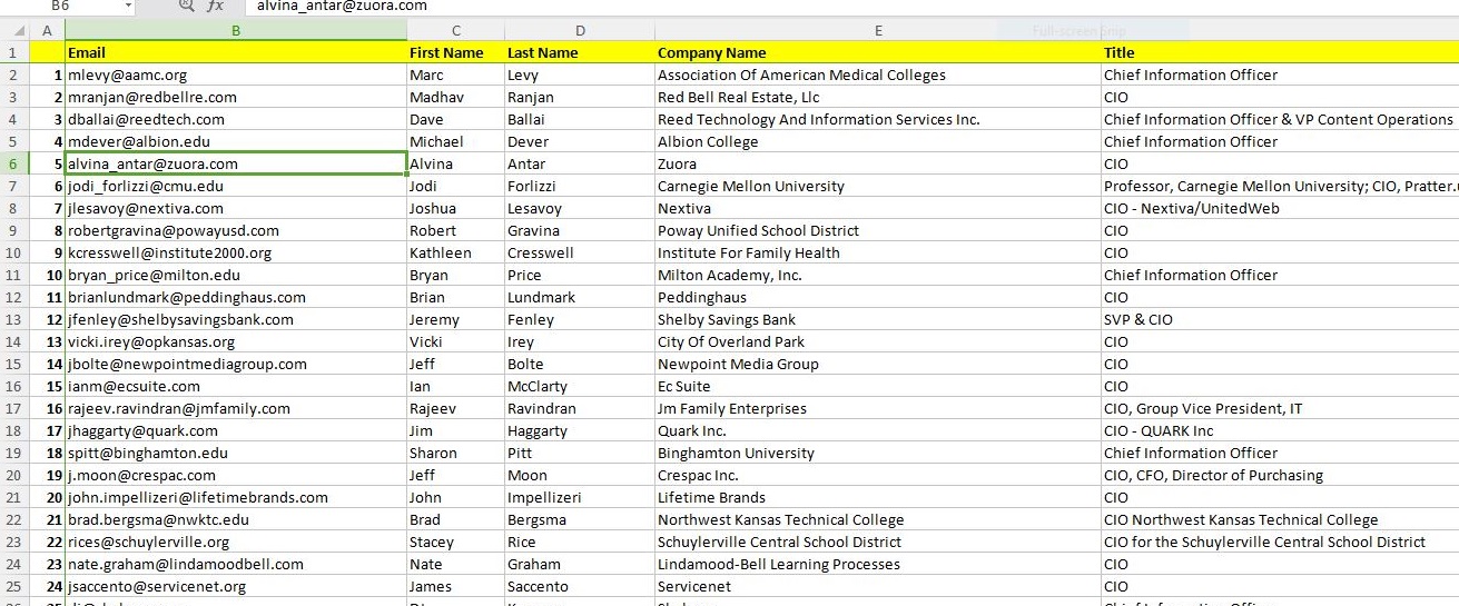 USA CIO IT verified Email List for $15