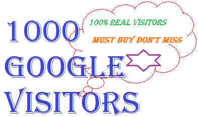 send you 1000 Google search website visitors