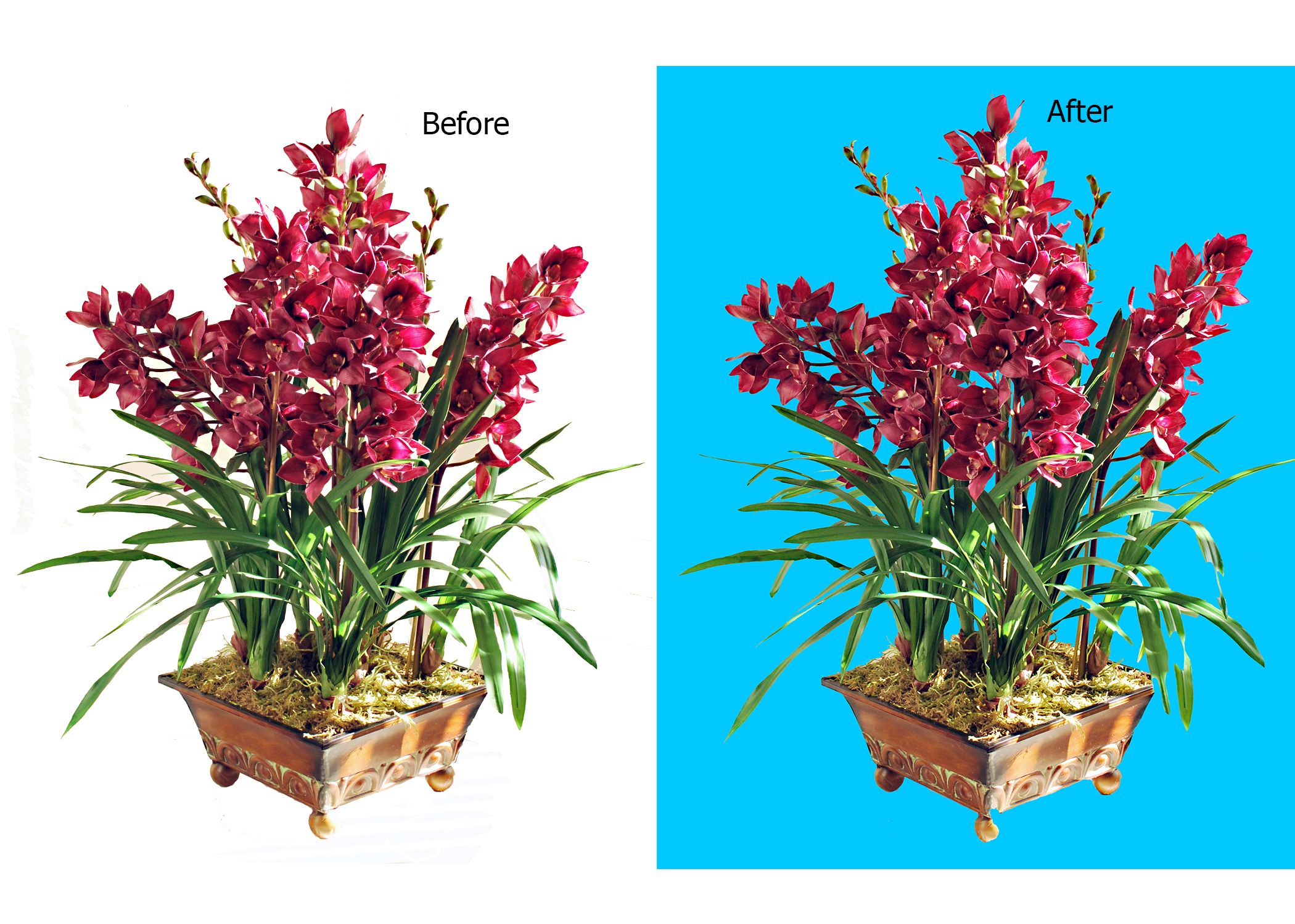 I do 3 clipping path  and Background Remove