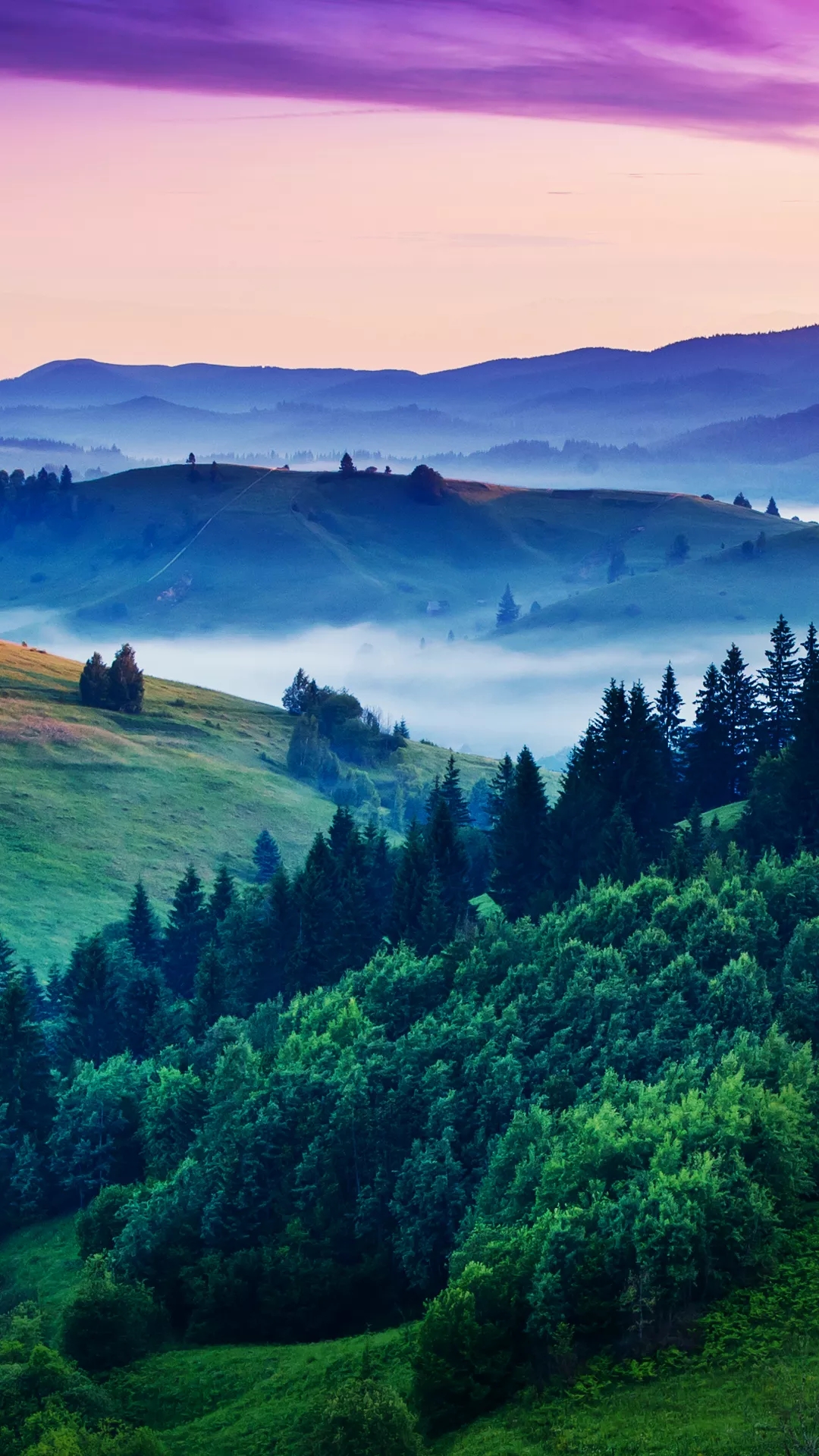 Professional content management