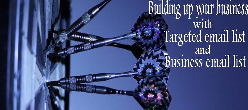 Provide you bulk or B2B email list