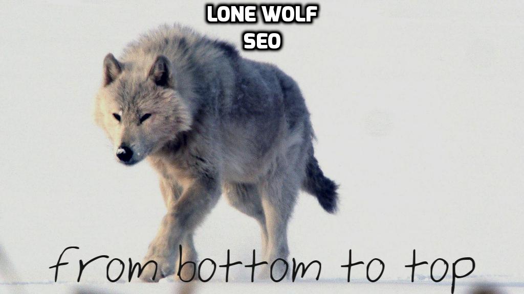 Lone Wolf SEO - bottom to top