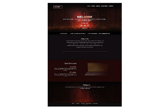 Create modern and unique website