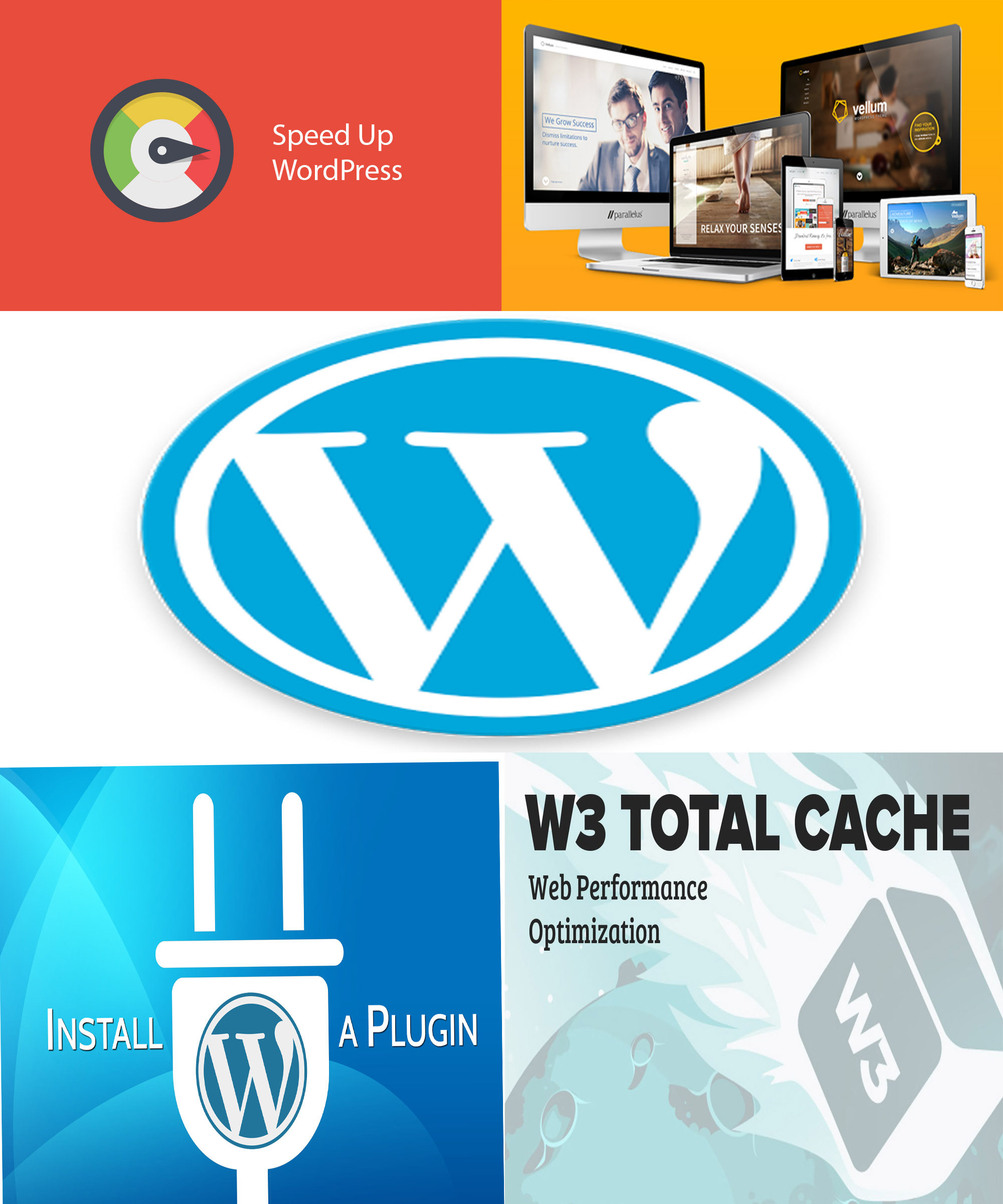 Install Wordpress, Customize Themes