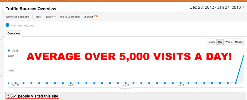 provide you with 5,000++ direct non targeted world wide real visitors