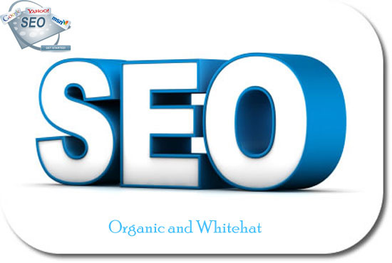  50 SEO Dofollow Backlinks