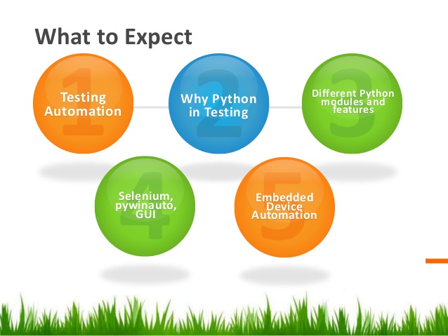  Programing In Python ,Perl ,Django, Google Go ,Bash Scripting