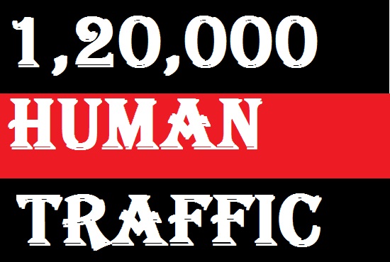 1,20,000 real Website TRAFFIC for 4 months