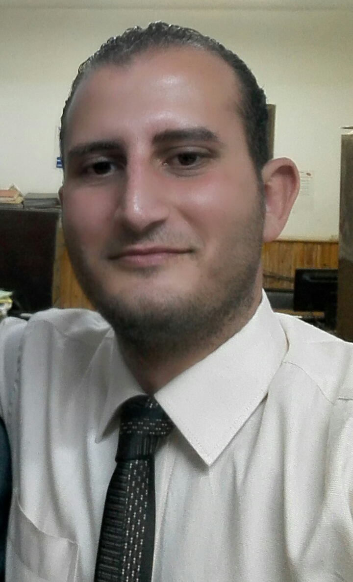 Preparation of the various financial statements 