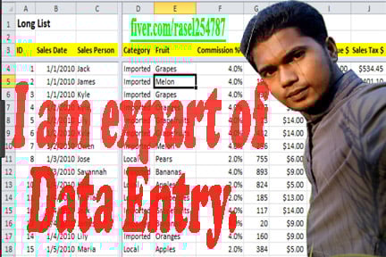 Do 250 Excel Rows Data Entry