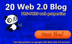 "I will " do 20 web 2.0 high pr sites 