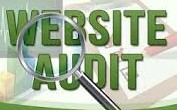 Provide SEO Audit Report