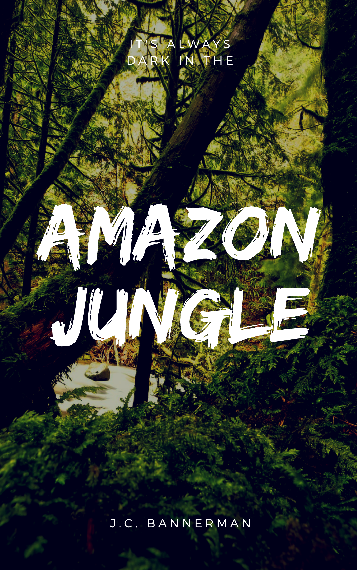 Design a premium quality eye-catching cover for your book or ebook