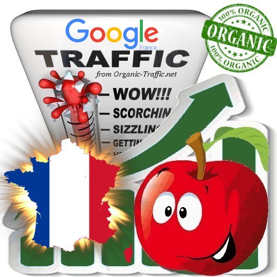 French Search Traffic from Google.fr with your Keywords
