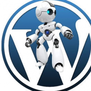 Create SEO Friendly Autopilot Blog with Fresh New Unique Articles only