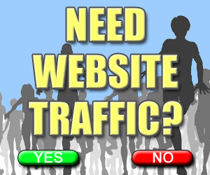 send 1000 real targeted USA visitors to your website..