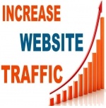Real Human 100-200+ Website Visitors for SEO Ranking
