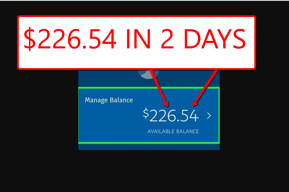  show you how to make money online in 24 hours to 2 days from scratch 