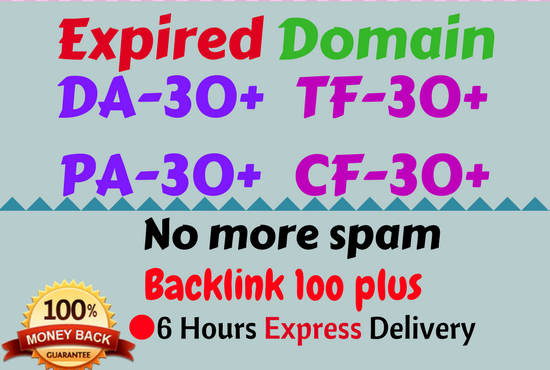 SEO Friendly Expired Domain With High Metrics