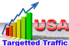 give 4500+ Real USA Search Engine & Social Network TRAFFIC to Your Website or Blog