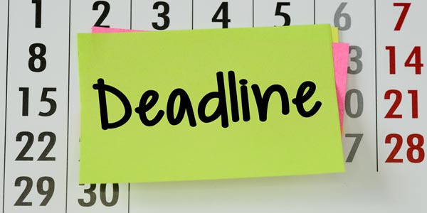 Article and content writing for all your business needs