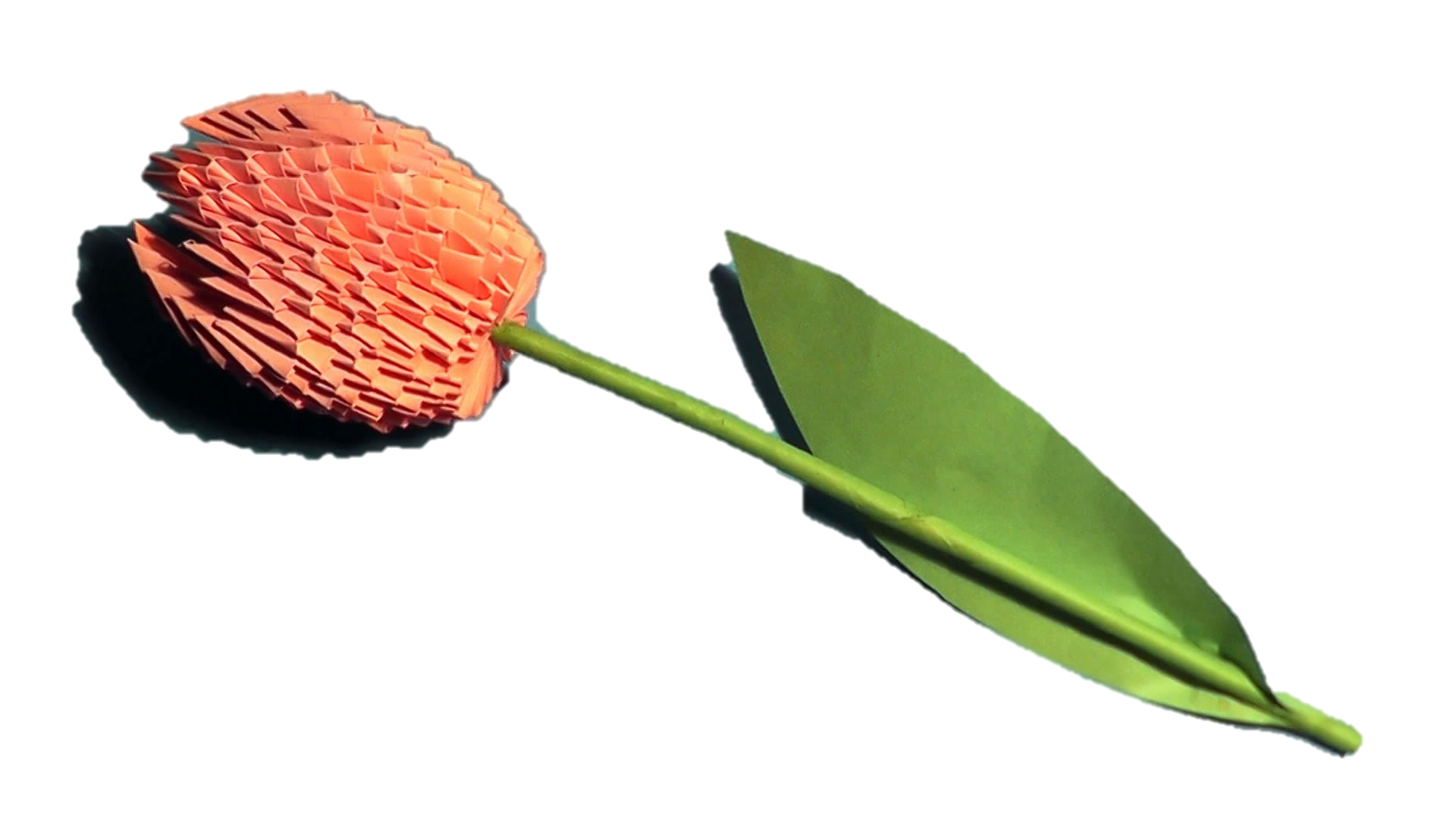 Remove 20 simple images background removal