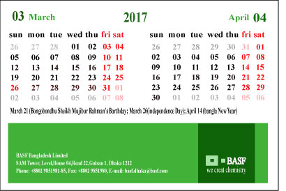 Graphics designer logo designer photo editing