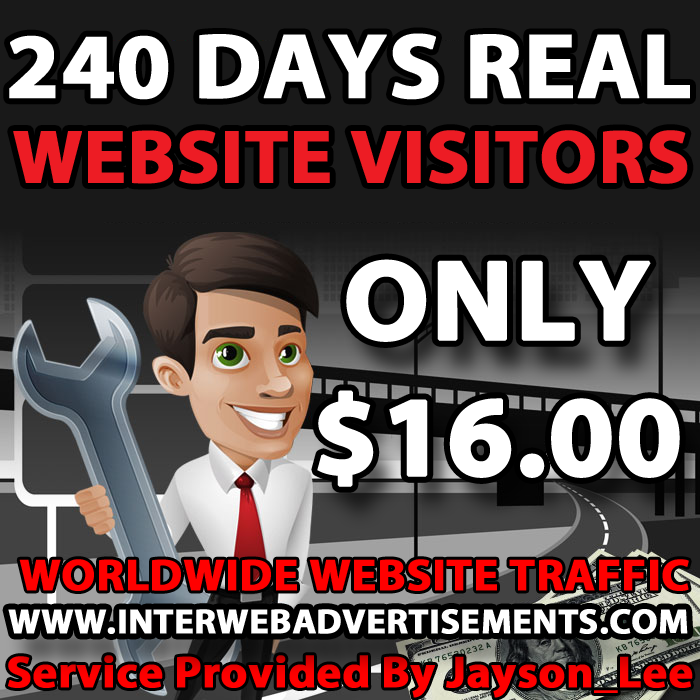 8 Months Web Traffic To Your Website, Blog or Affiliate Link