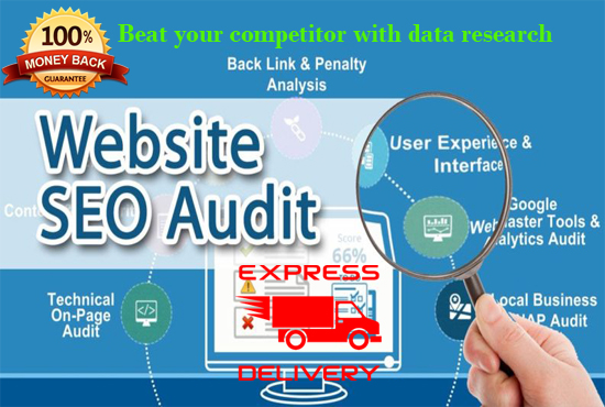 do full seo audit report and competitor analysis with...