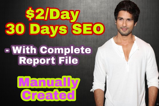  Manually Do Monthly SEO Services And Everyday Backlinks