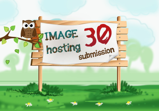 manually submit your image to 30+ Image hosting websites to get instant results