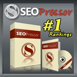 give you WP Plugin SEO Pressor leverage to your blog on the search engines