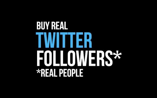 provide you with 35k Real Human Twitter followers targeted to your Niche