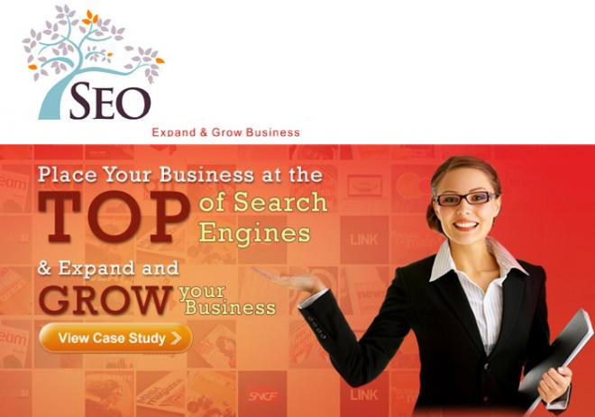 provide you a Complete SEO Solution Pack (Now you can easily rank your website at top 5) Less work more output (all in one)