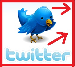 Give You 125 Real twitter Tweet or Retweets from 125 Different Accounts 