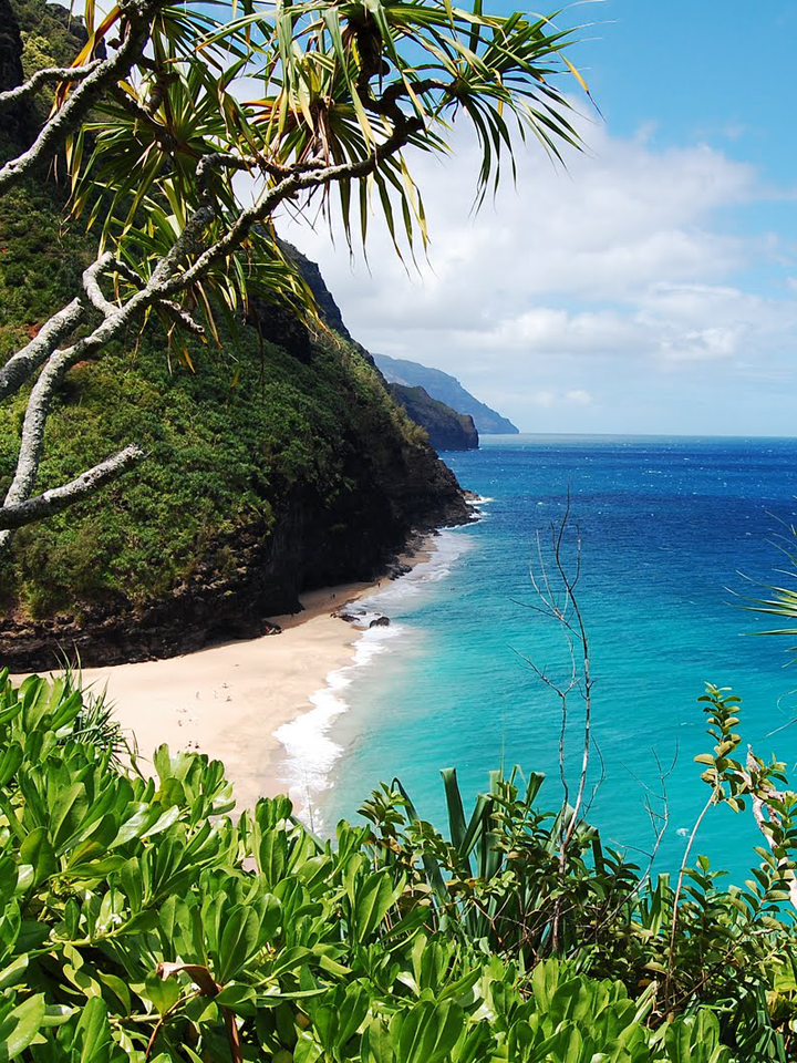 Logo Design and Web template design