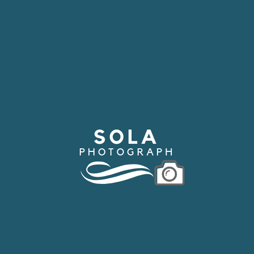 Create professional logo design 