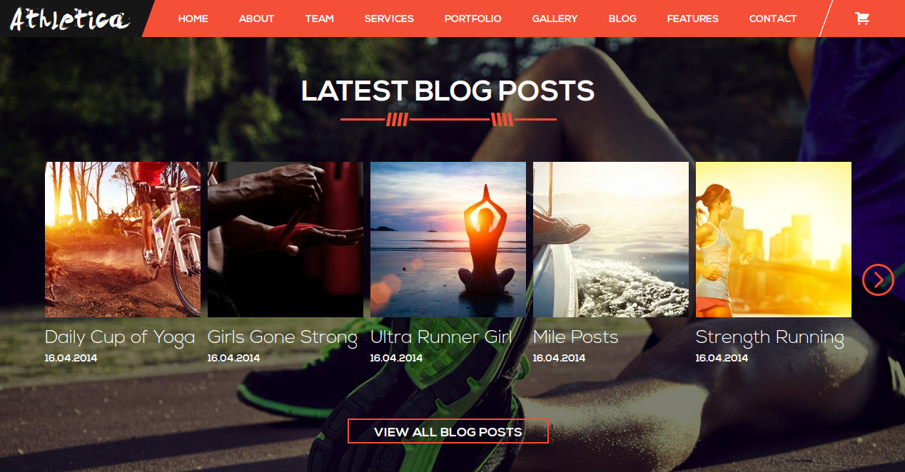 Design A Professional Looking 3 pages Wordpress Website