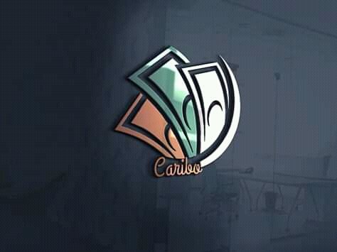 Create a 2D 3D Logo for you business