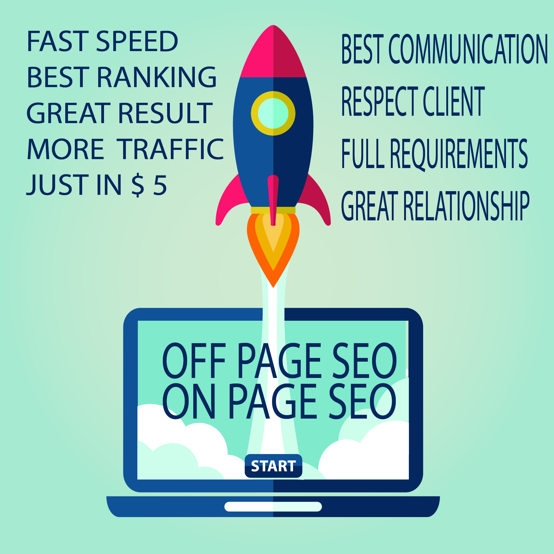 perform a complete and professional onpage and off pa...