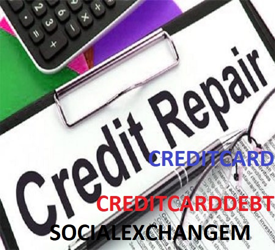 give you 4000+ credit repair creditcards and debt plr articles and up to 20000 keywords