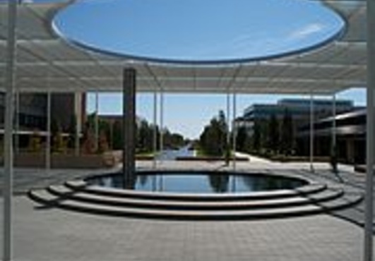 post 50 flyers at University of Texas at Dallas..@