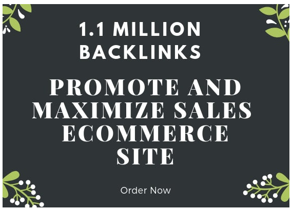 promote and maximize sales of your e commerce site 
