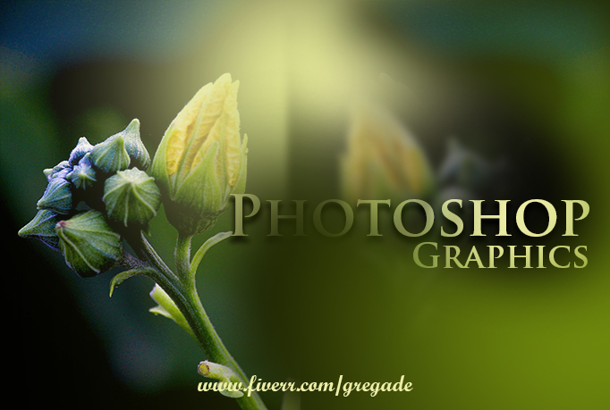 Any Photoshop Work And Add Graphics